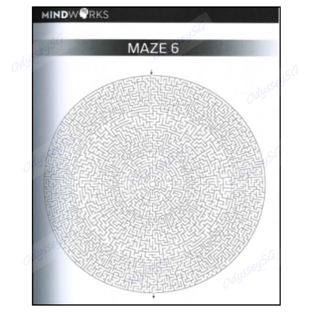Mindworks - Mega Mazes - Brain Training - Age 9 and above